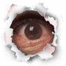Brugers avatar